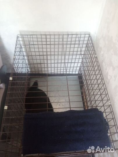 Клетка для большой собаки бу