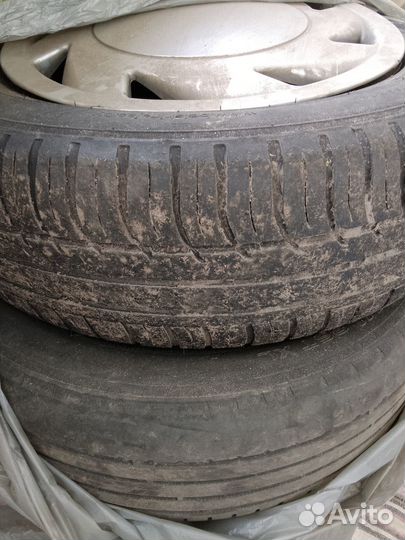 GT Radial Champiro BAX2 4.00/8 R5.5