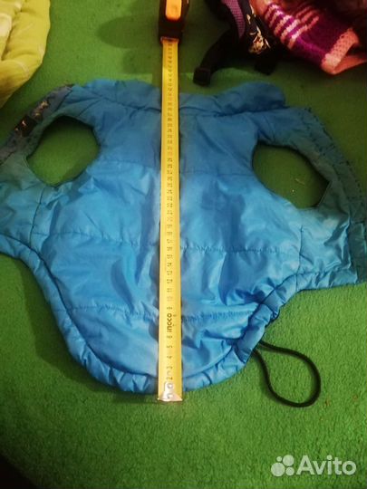 Одежда для маленьких собак