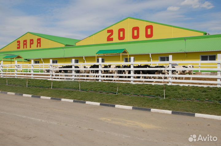 Тракторист,комбайнер,Водитель, Токарь