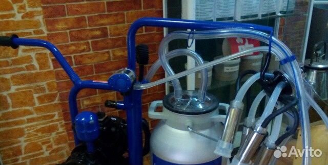 Доильный аппарат Милка коллектор Sed