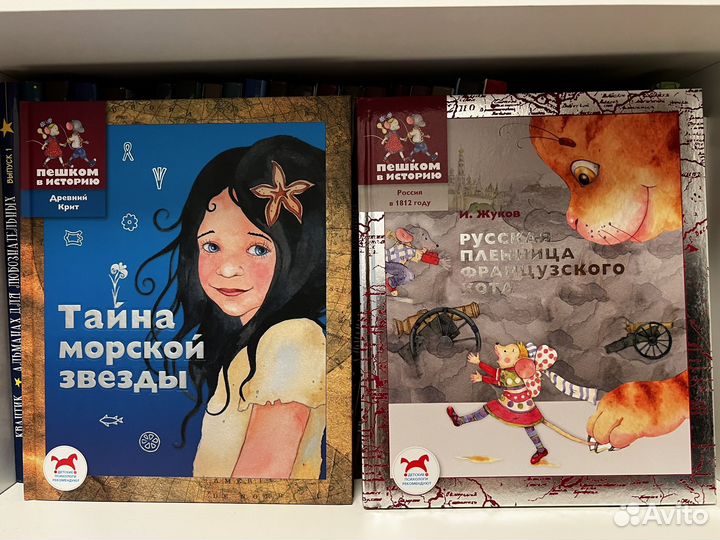 Книги из серии Пешком в историю
