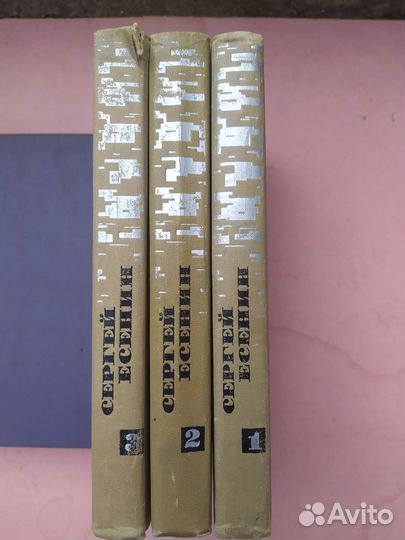 Русская классика Бунин, Есенина торг