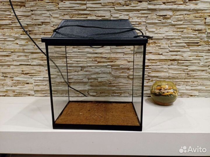 Террариум (Аквариум)