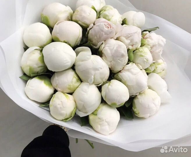 Букет белых пионов 5 9 11 15 18 с доставкой