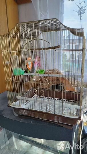 Клетка для попугая