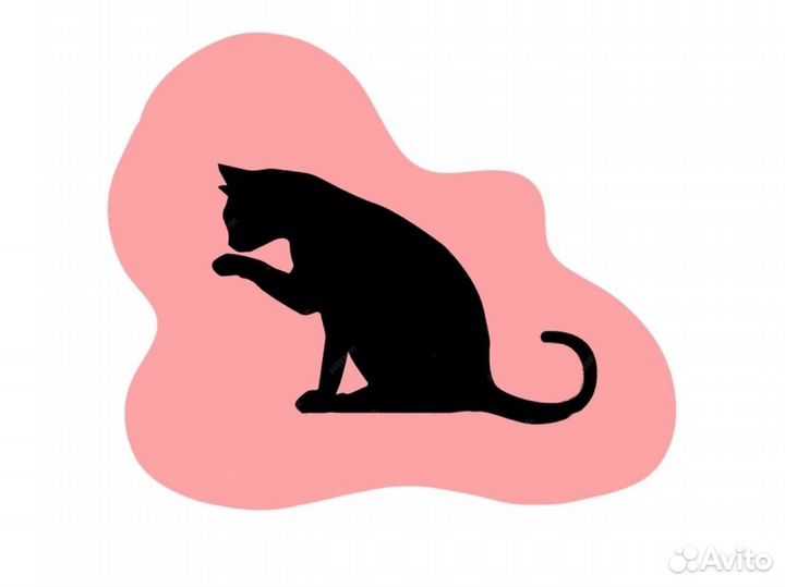 Графический дизайнер