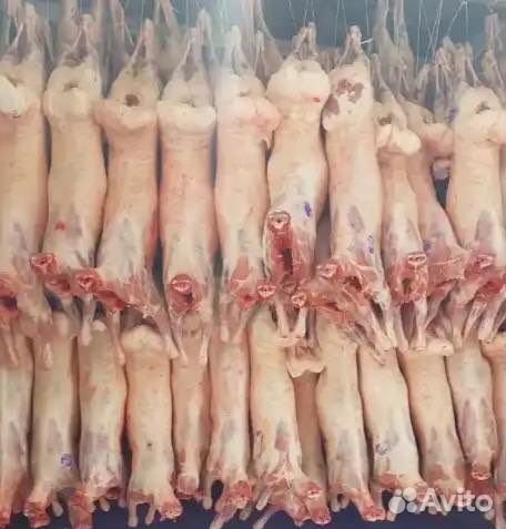 Мясо говядина, баранина оптом