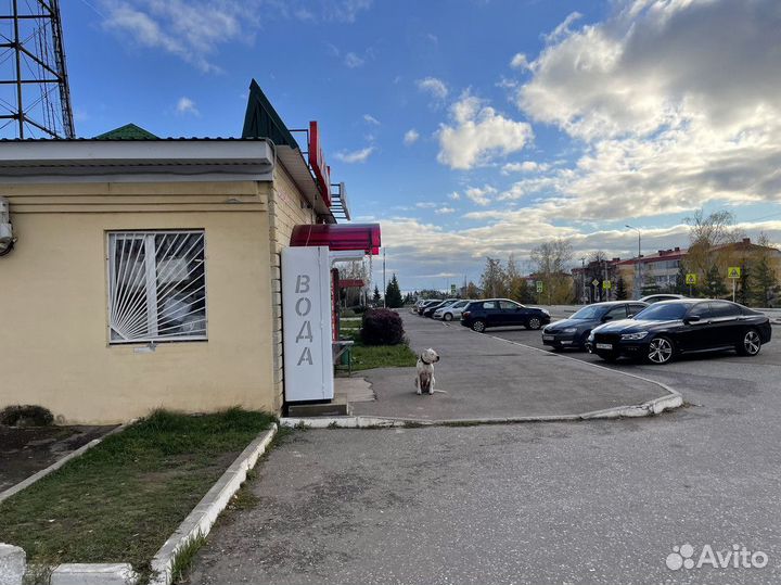 Готовый бизнес - станьте партнером Аквакапитала