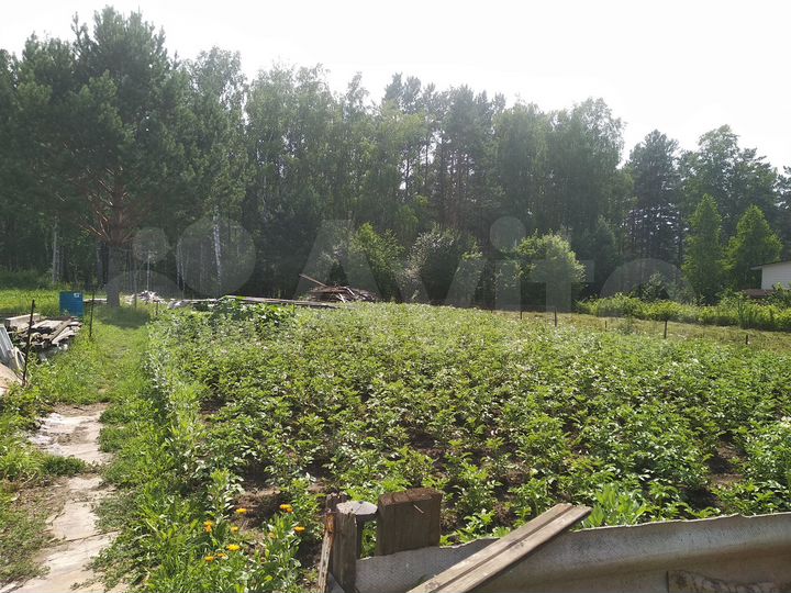 Участок 9,4 сот. (СНТ, ДНП)