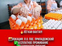 Упаковщик яиц. Вахта - 50км от СПБ