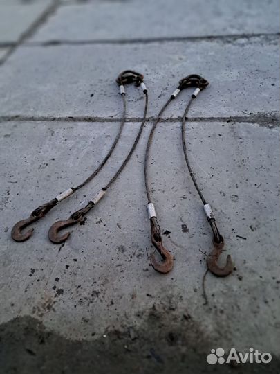 Паук трассовый