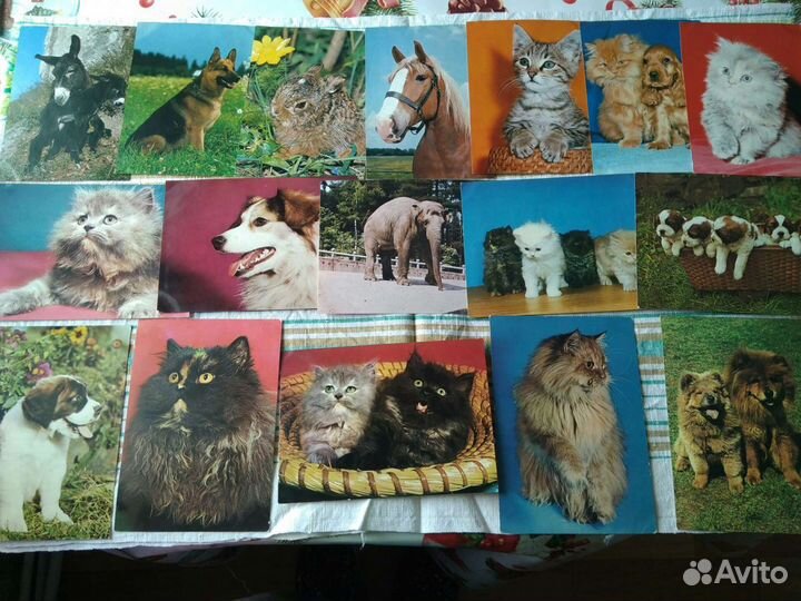 Открытки чехословацкие