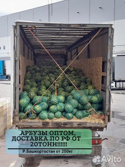 Арбузы оптом от 20 тонн