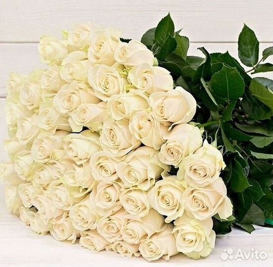 Высокие Розы с Доставкой