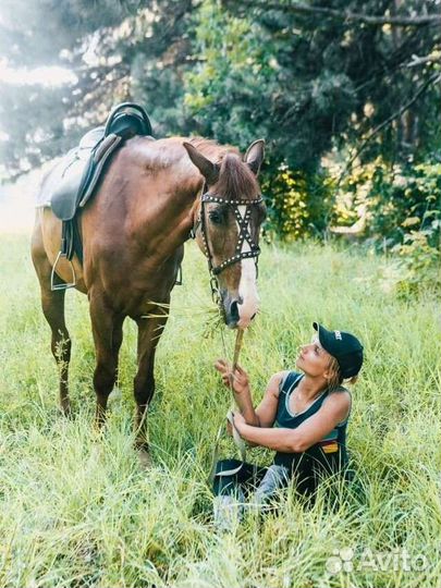 Конные прогулки