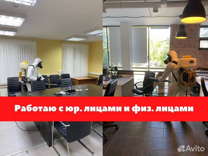 Дезинсекция Клопов,Тараканов,Блох/ Дезинфекция