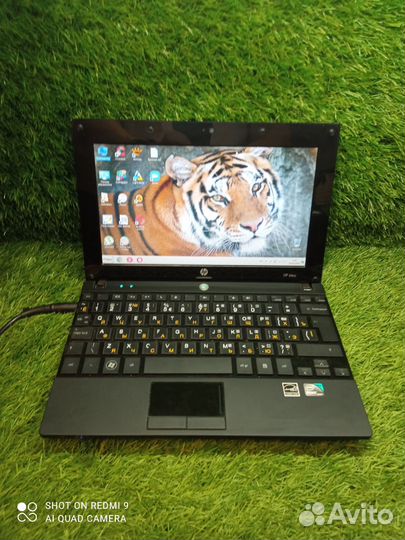 Нетбук HP Mini (T) Гарантия