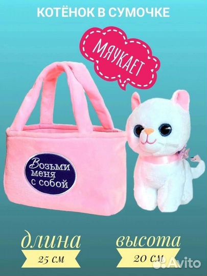 Кот сумка