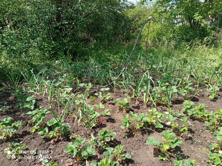 Участок 7,3 сот. (СНТ, ДНП)