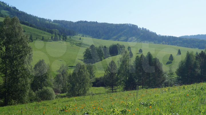 Участок 489,3 га (СНТ, ДНП)