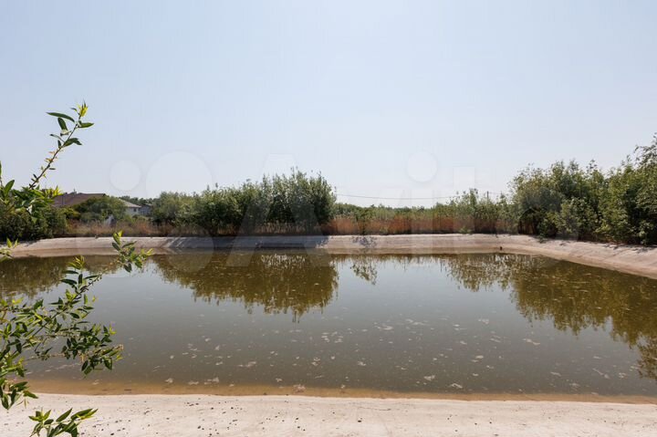 Участок 24 сот. (СНТ, ДНП)