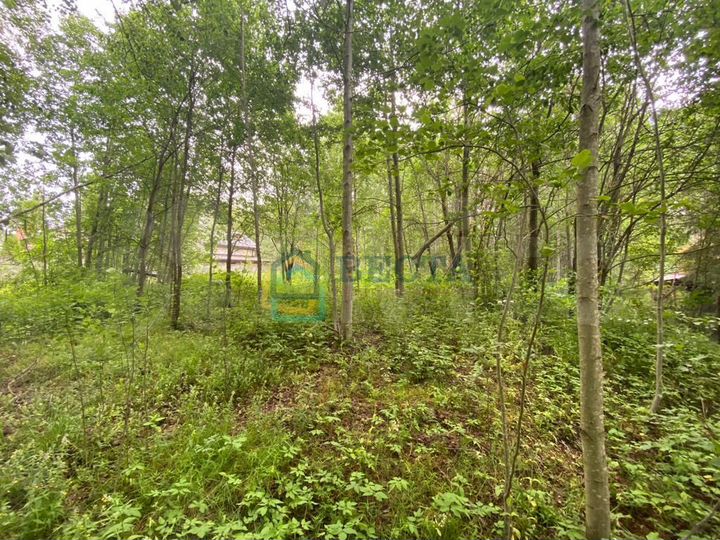 Участок 6 сот. (СНТ, ДНП)