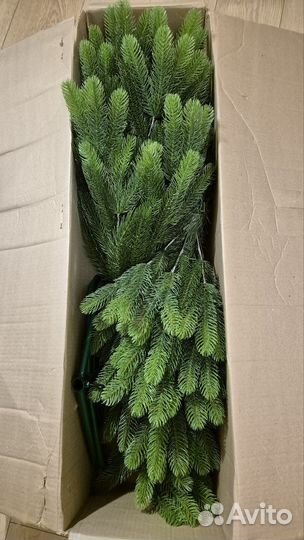 Ель для Павла