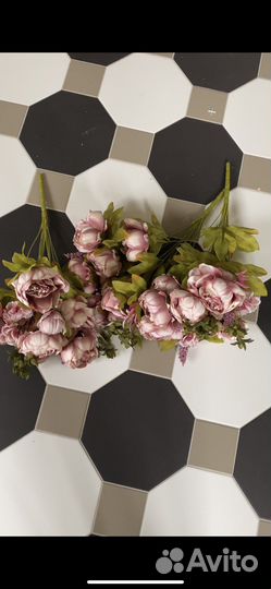 Декоративные цветы