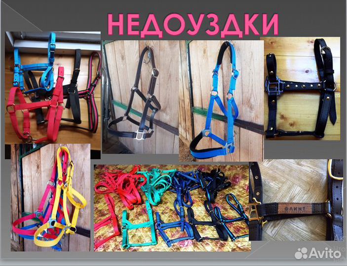 Амуниция для лошадей