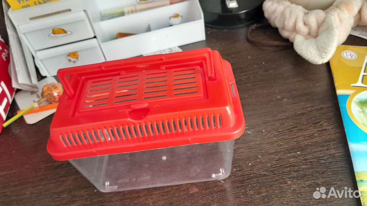 Террариум для рептилий