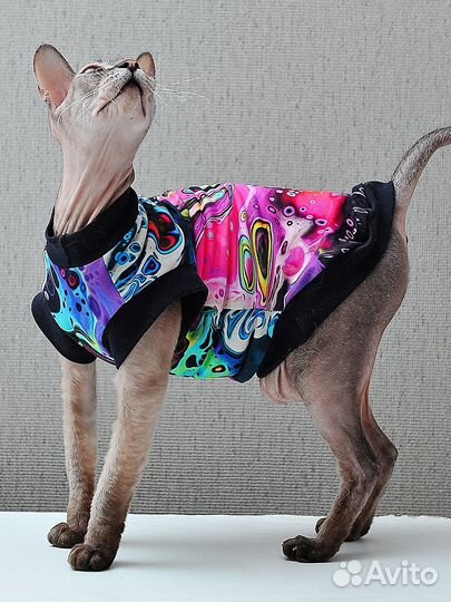 Кофта одежда для кошки (сфинкса) в ассортименте