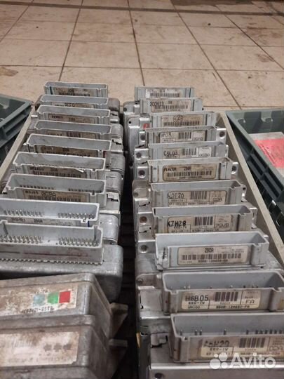 Эбу форд скорпио сиерра