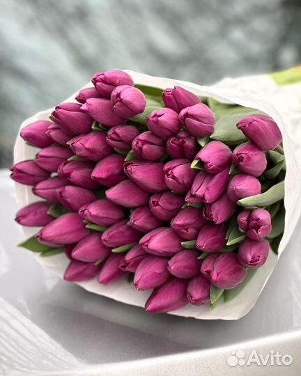 Тюльпаны / Букет из тюльпанов / 21, 31, 51