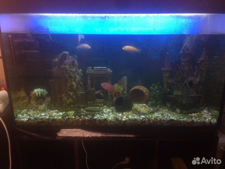 Аквариум