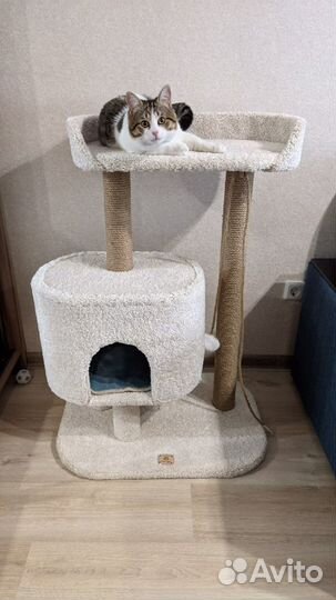 Когтеточка для кошек «Вселенная Мурзика»