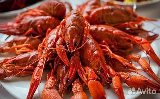 Рак варено-мороженый 700 гр/уп