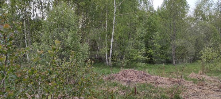 Участок 14,8 сот. (ИЖС)