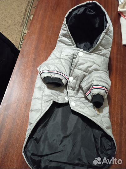 Куртка для собачки