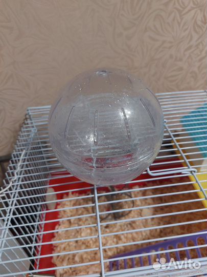 Клетка для грызунов