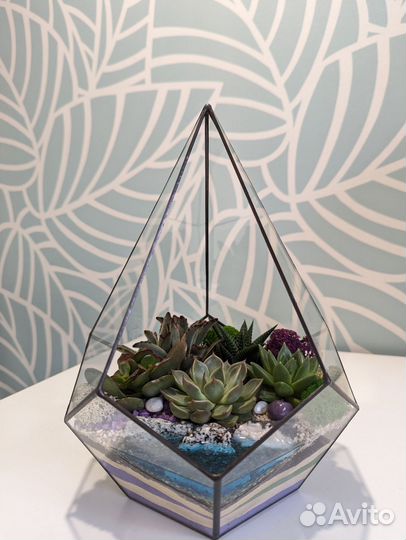 Флорариум с суккулентами на заказ