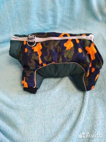 Одежда для собак мелких пород