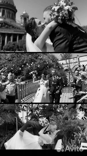 Мобильный видеограф/рилсмейкер/свадебный видеограф