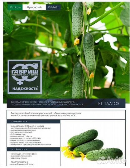 Семена огурцов Кураж