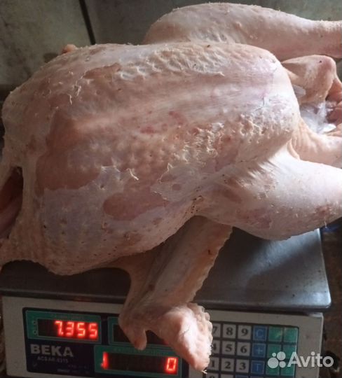 Мясо индейки