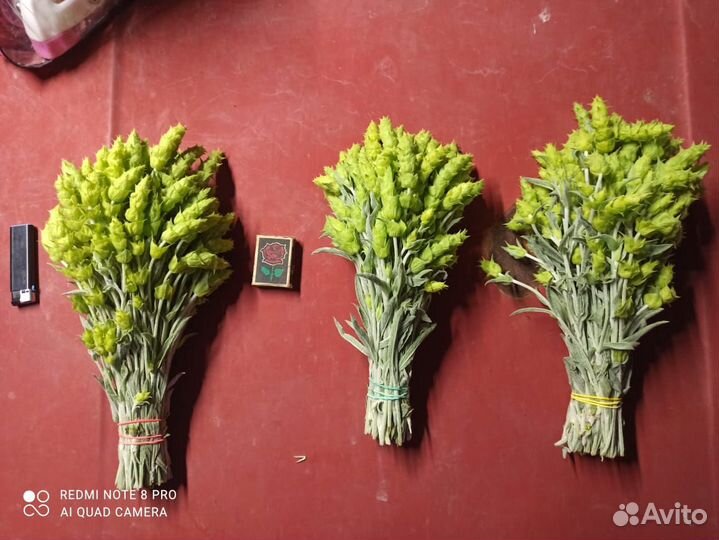 Железница, Чабан-чай, Лимонник в пучках