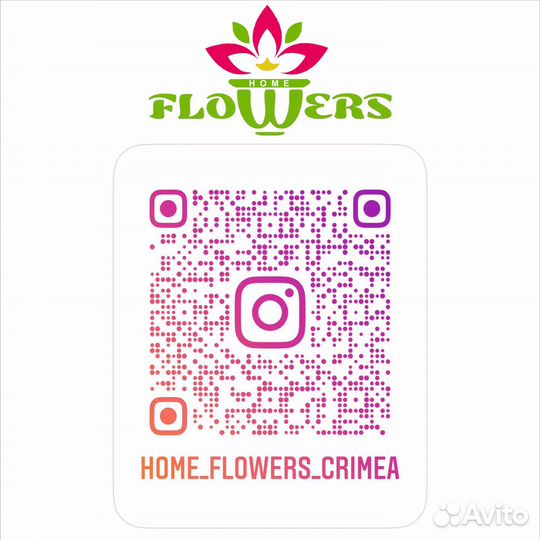 Коллекционные орхидеи