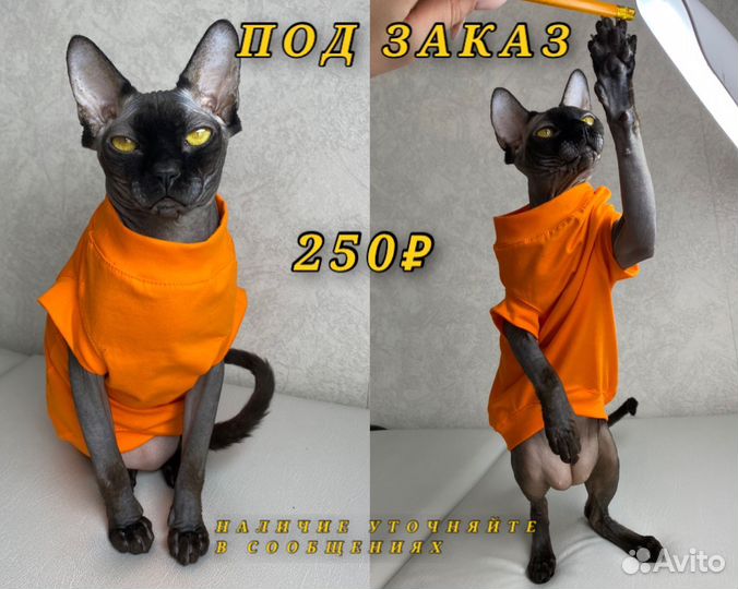 Одежда для сфинксов и собак маленьких пород
