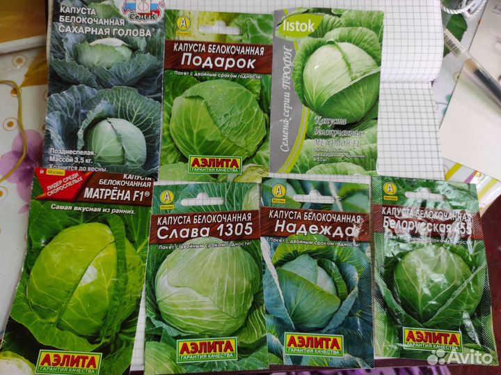 Продам рассаду перца,помидор,капусты,цветов