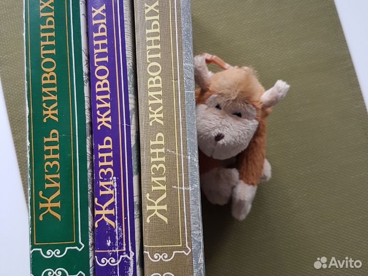 Энциклопедия. Брэм. Жизнь животных 3 тома